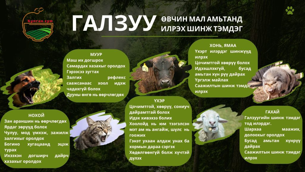 ИРГЭДИЙН АНХААРАЛД